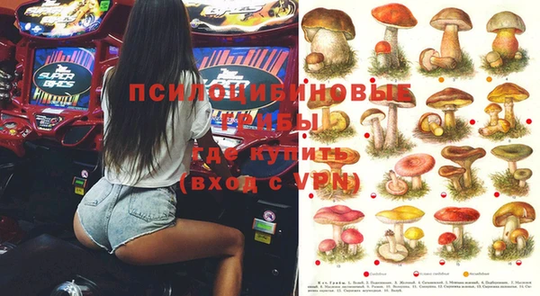 прущие грибы Бугульма