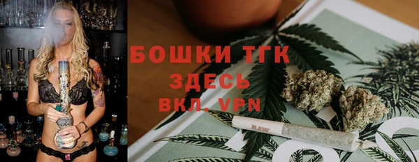 прущие грибы Бугульма