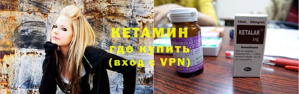 шишки Сосновоборск