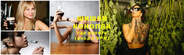 индика Верея