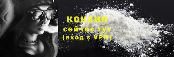 спиды Бородино